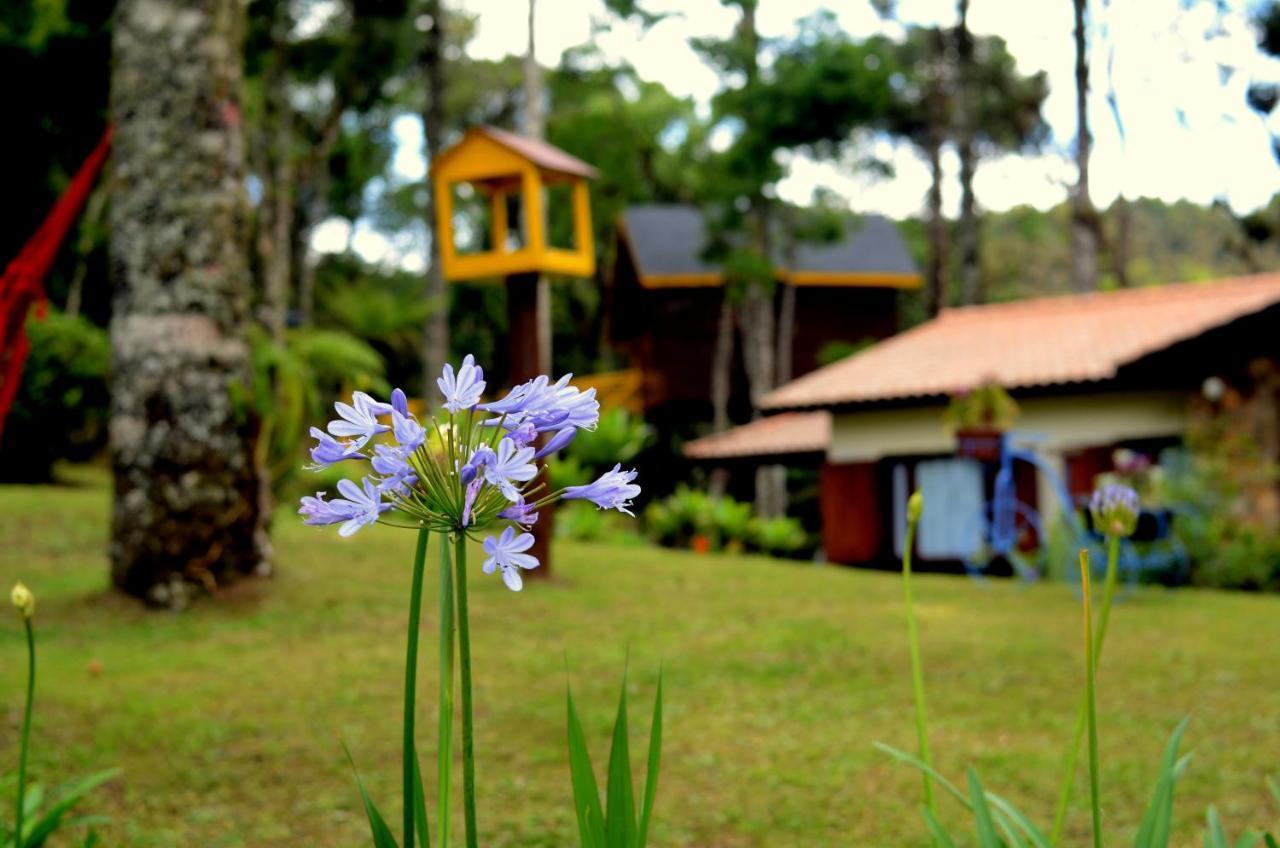 Hotel Chalé com vista para as montanhas PARAISO DAS ARAUCARIAS à Monteverde Extérieur photo