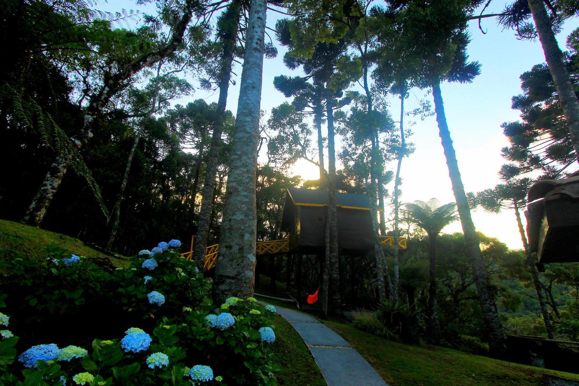 Hotel Chalé com vista para as montanhas PARAISO DAS ARAUCARIAS à Monteverde Extérieur photo