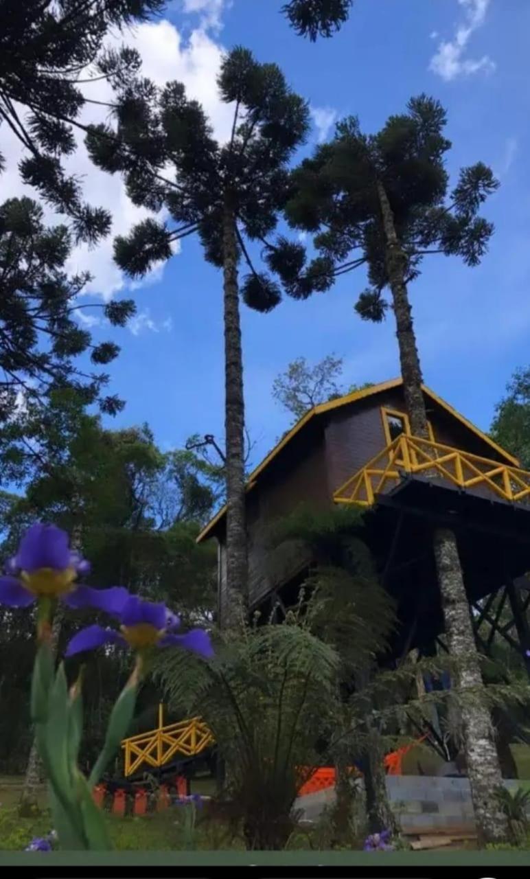 Hotel Chalé com vista para as montanhas PARAISO DAS ARAUCARIAS à Monteverde Extérieur photo