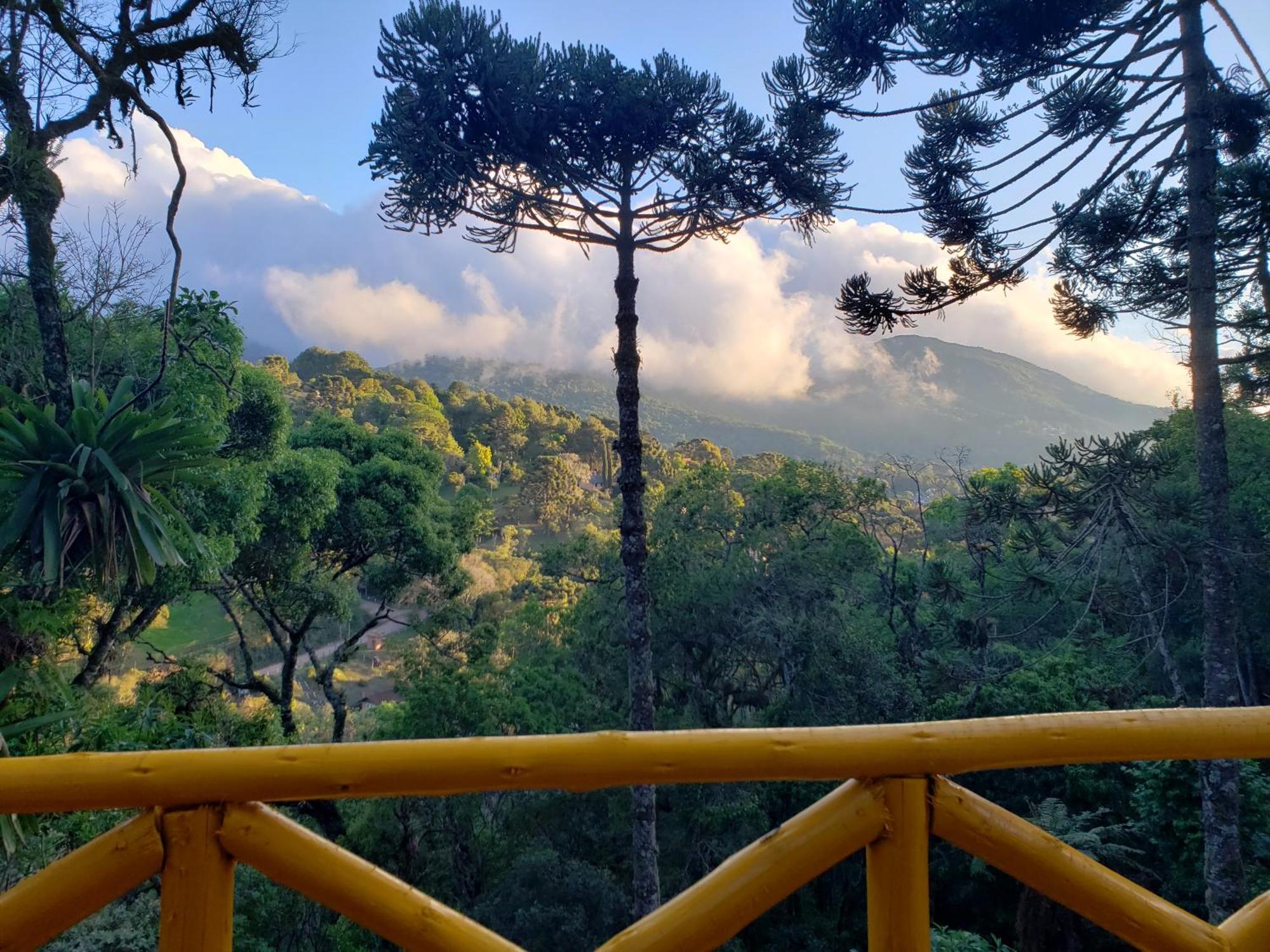 Hotel Chalé com vista para as montanhas PARAISO DAS ARAUCARIAS à Monteverde Extérieur photo